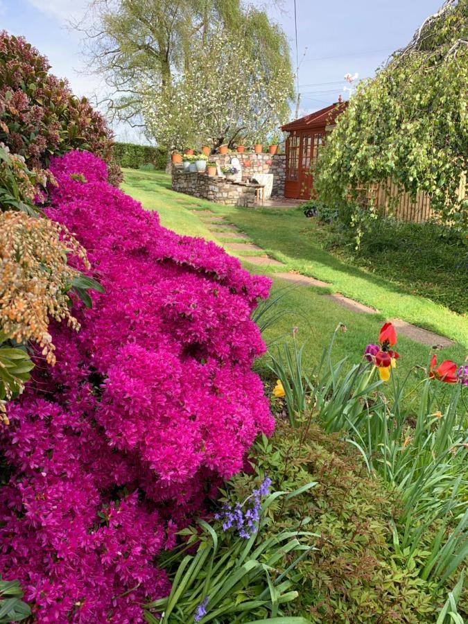Llanwenarth Cottage A Beautiful Place To Just Be. Abergavenny Dış mekan fotoğraf