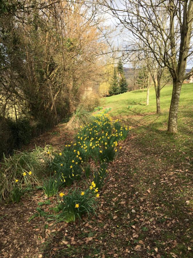 Llanwenarth Cottage A Beautiful Place To Just Be. Abergavenny Dış mekan fotoğraf