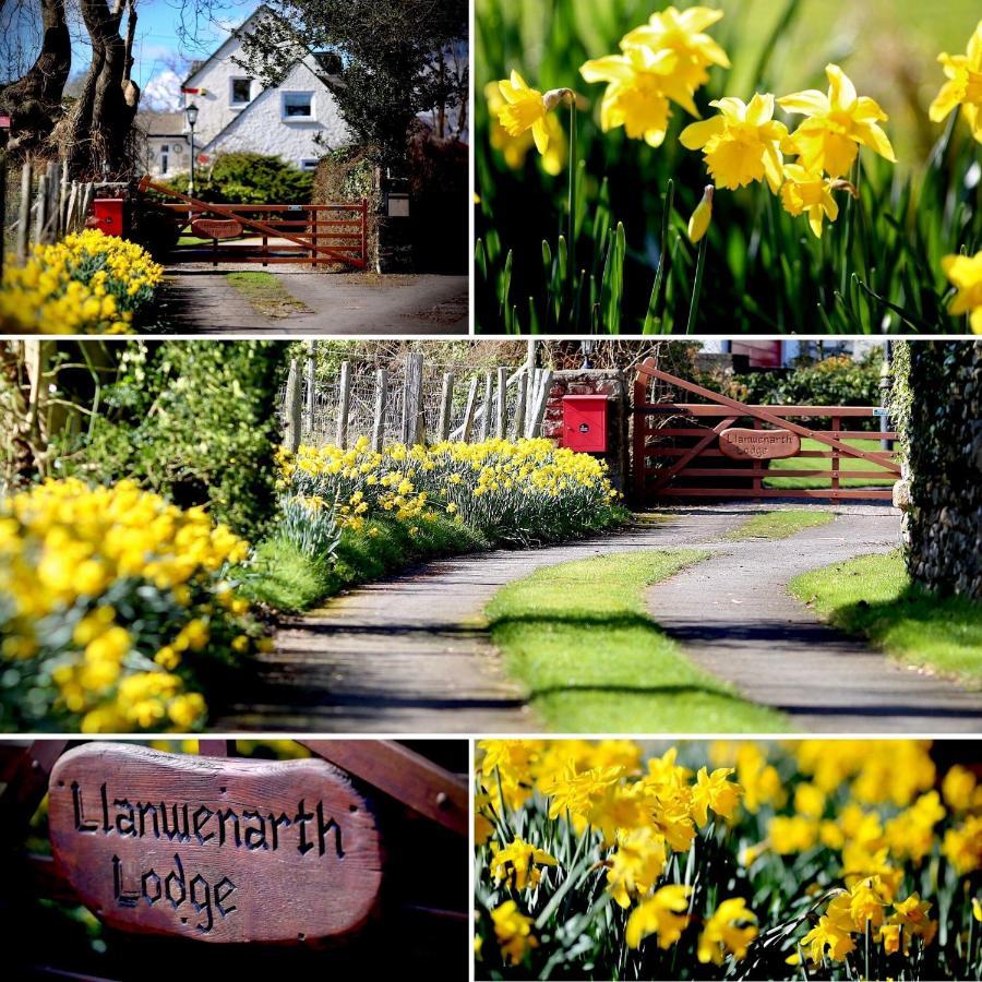 Llanwenarth Cottage A Beautiful Place To Just Be. Abergavenny Dış mekan fotoğraf